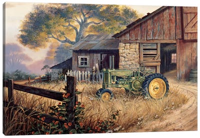Deere Country Canvas Art Print - Michael Humphries