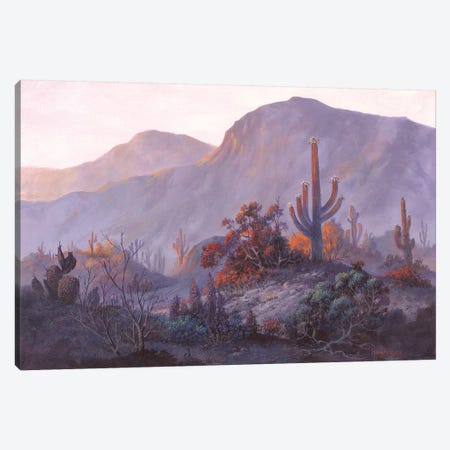 Desert Dessert Canvas Print #MHU14} by Michael Humphries Canvas Art