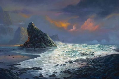 Grace Under Fire by Michael Humphries canvas print