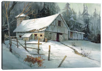 Ageless Beauty Canvas Art Print - Rustic Winter