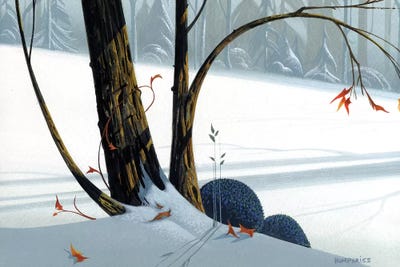 Balancing Act by Michael Humphries canvas print