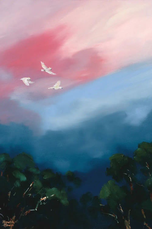 Illumination Freedom by Meredith Howse wall art