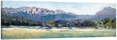 Bylong Valley Way Canvas Art Print - Meredith Howse