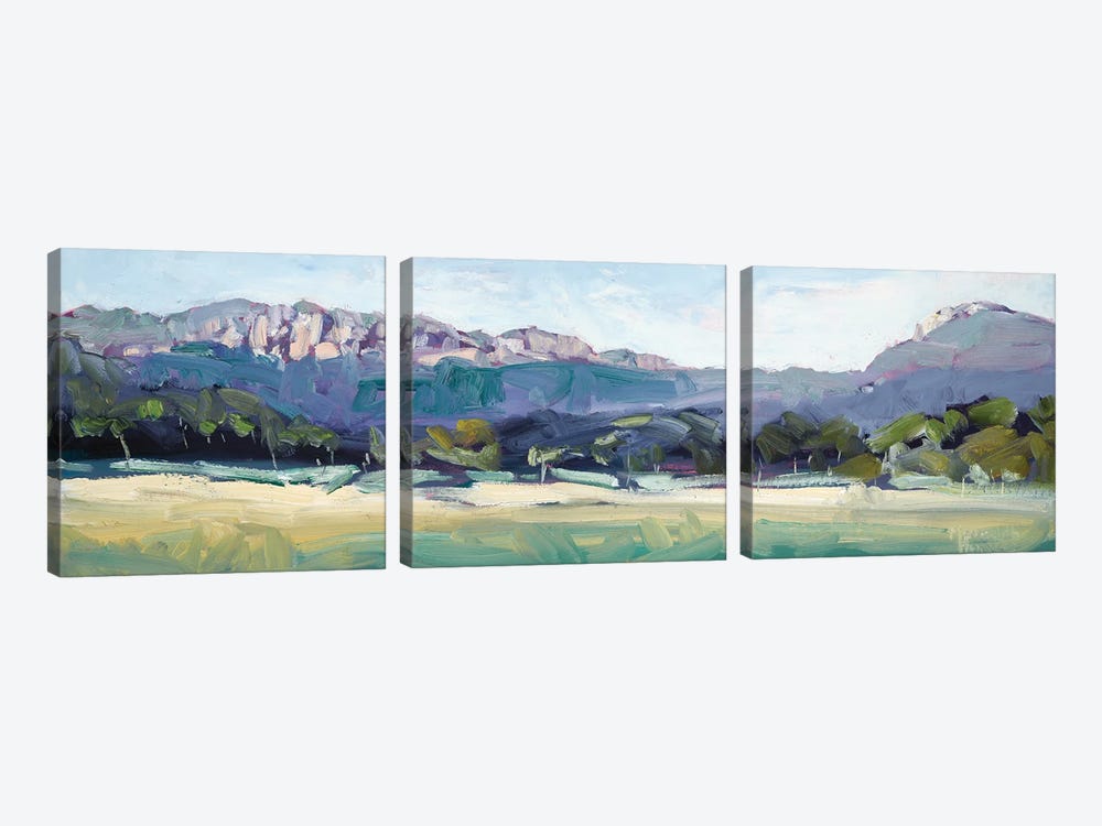 Bylong Valley Way by Meredith Howse 3-piece Canvas Art Print