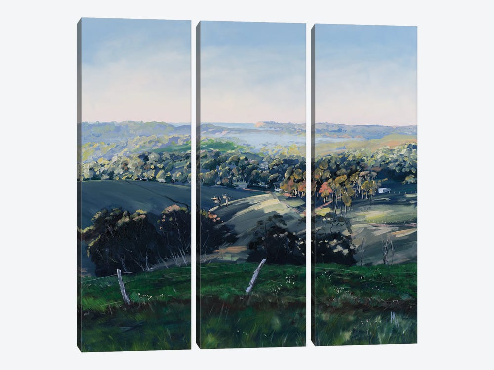 Byron Bay Hinterland by Meredith Howse 3-piece Canvas Artwork