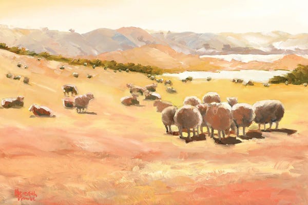 Sheep: Directors Conference At Hill by Meredith Howse