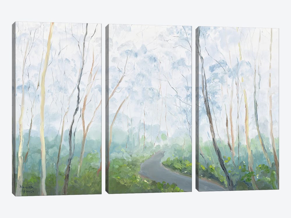 Gisbourne To Macedon by Meredith Howse 3-piece Canvas Art Print