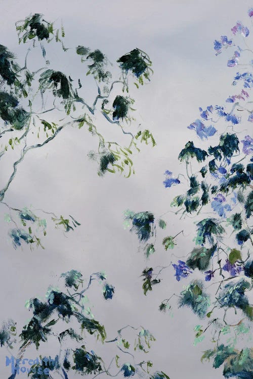 Illumination Ashgrovian by Meredith Howse wall art