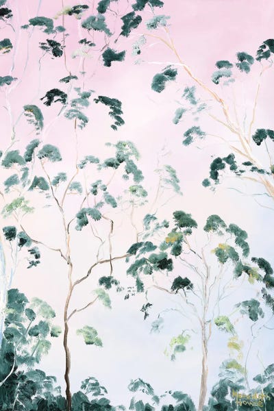 Eucalyptus: Illumination Last Rays Of The Day by Meredith Howse