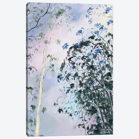 Illumination Of Ashgrove Trees Canvas Print #MHW23} by Meredith Howse Canvas Artwork