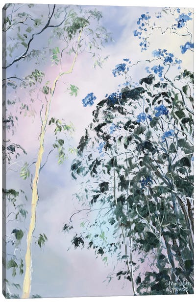 Illumination Of Ashgrove Trees Canvas Art Print - Meredith Howse