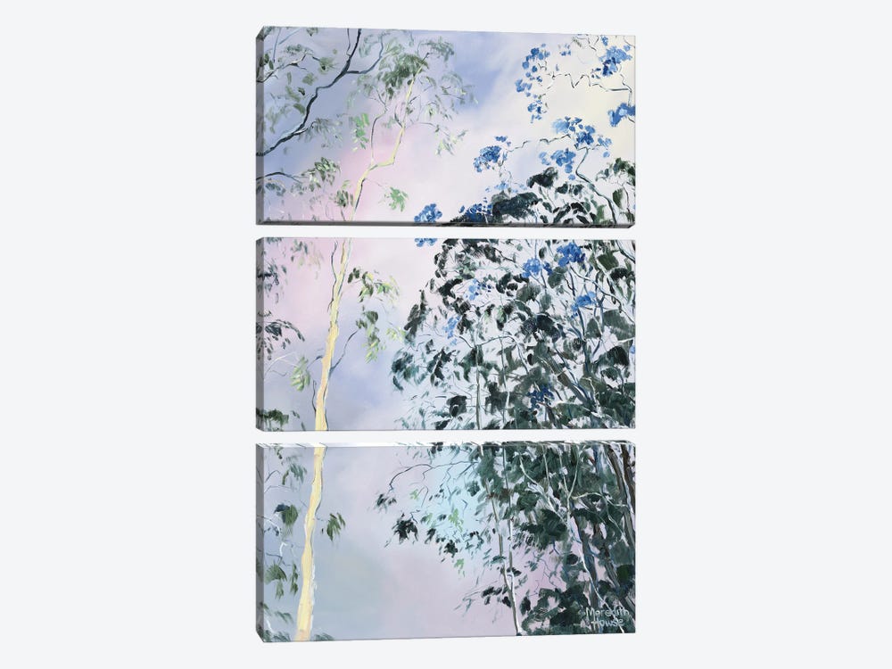 Illumination Of Ashgrove Trees by Meredith Howse 3-piece Canvas Print