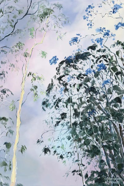 Gray & Purple: Illumination Of Ashgrove Trees by Meredith Howse