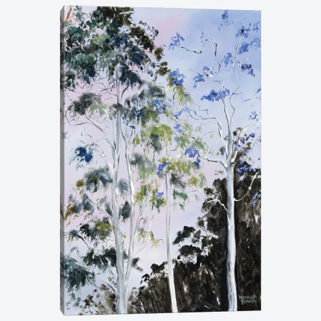 Illumination Of Trees Canvas Print #MHW24} by Meredith Howse Art Print