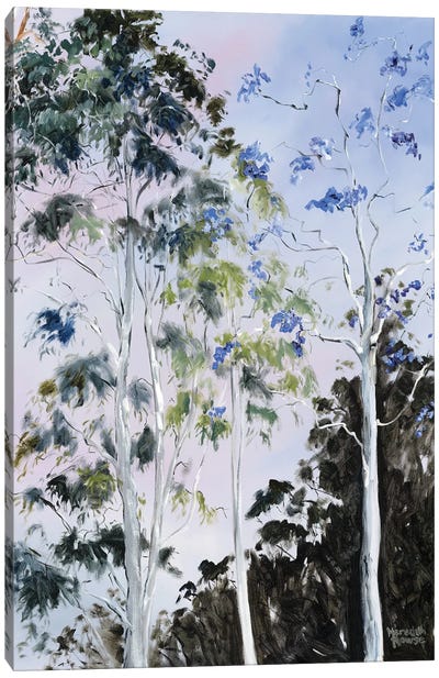 Illumination Of Trees Canvas Art Print - Meredith Howse