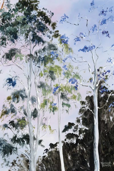 Eucalyptus: Illumination Of Trees by Meredith Howse