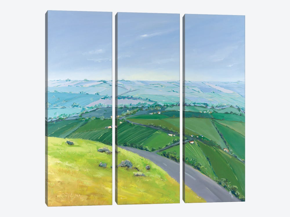 As Far As The Eye Can See I by Meredith Howse 3-piece Canvas Artwork