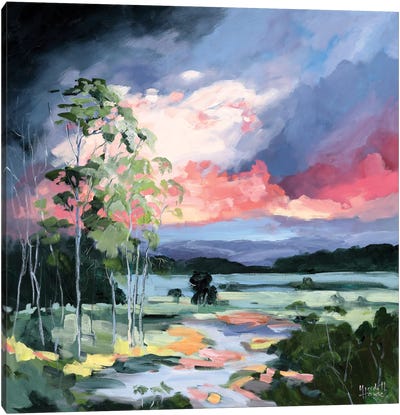 Sundown Canvas Art Print - Meredith Howse