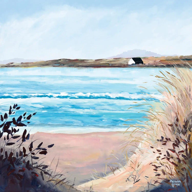 Boat House On Cole's Bay by Meredith Howse wall art