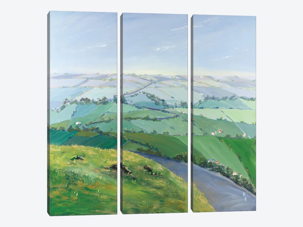 As Far As The Eye Can See II by Meredith Howse 3-piece Canvas Print