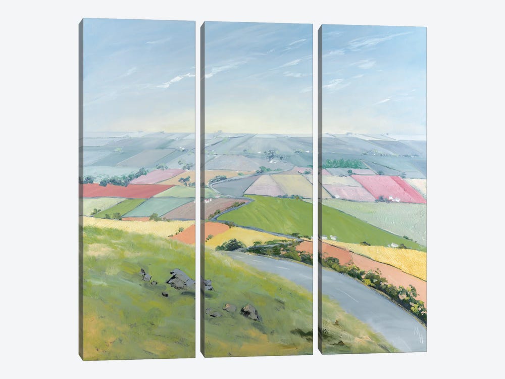 As Far As The Eye Can See IV by Meredith Howse 3-piece Canvas Artwork