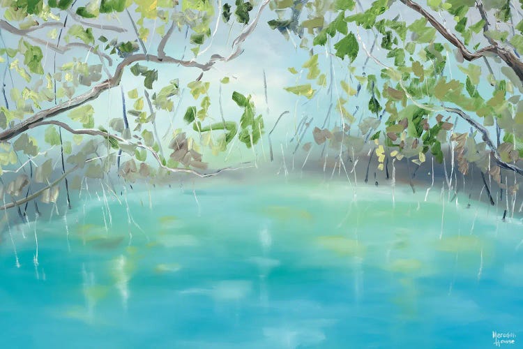 Upper Daintree by Meredith Howse wall art