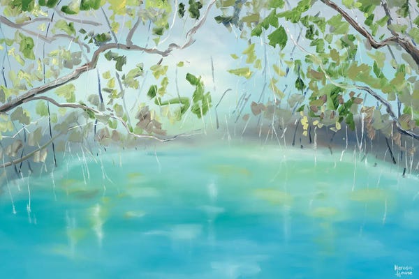 Meredith Howse: Upper Daintree by Meredith Howse