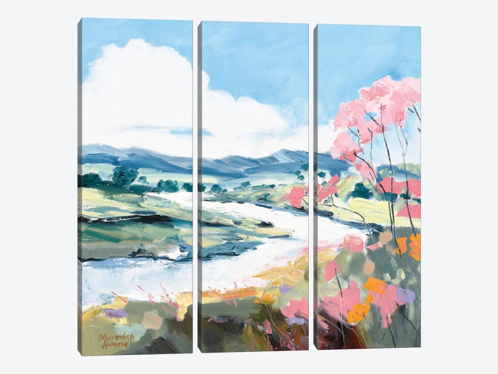 As Water Flows By by Meredith Howse 3-piece Canvas Print