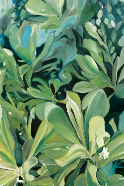 Fine Art Print: The Naupaka Legend by Meredith Howse