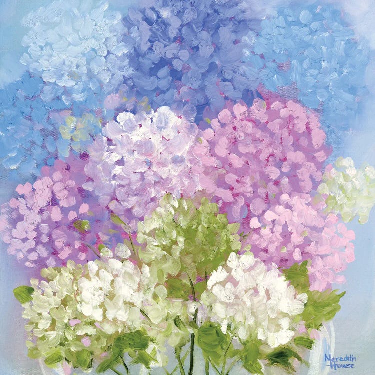 Blooming Spring by Meredith Howse wall art