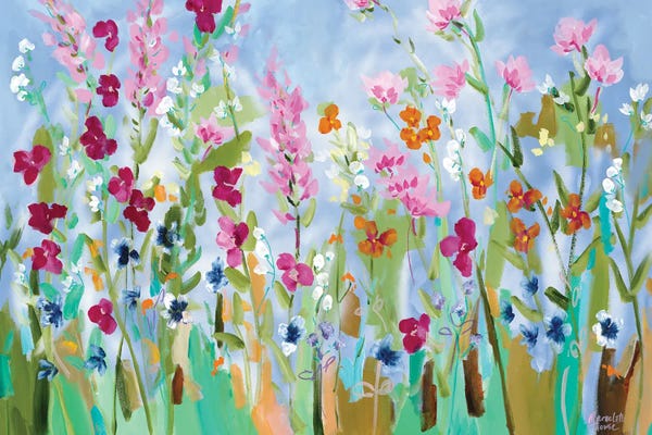 Wildflowers: Petals by Meredith Howse