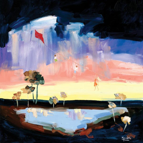 Meredith Howse: Outback Kite Flying by Meredith Howse