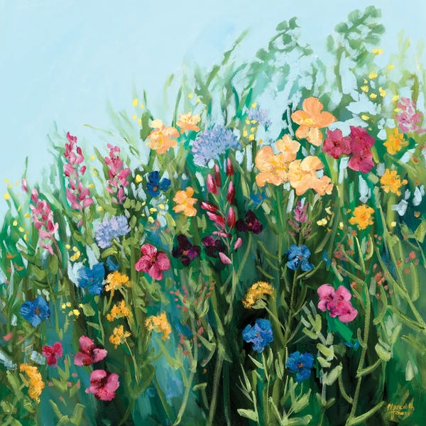 Wildflowers: Colourful Spring by Meredith Howse