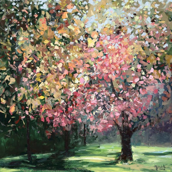 Meredith Howse: Nana Glen Park by Meredith Howse