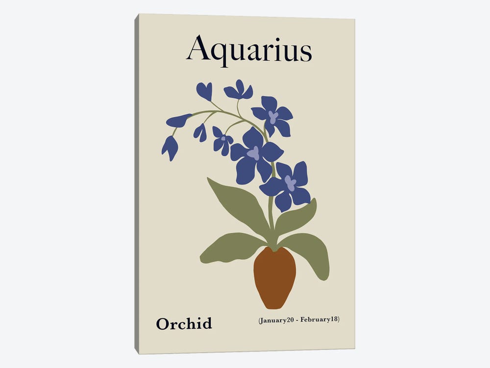 Aquarius Orchid by Miho Art Studio 1-piece Art Print