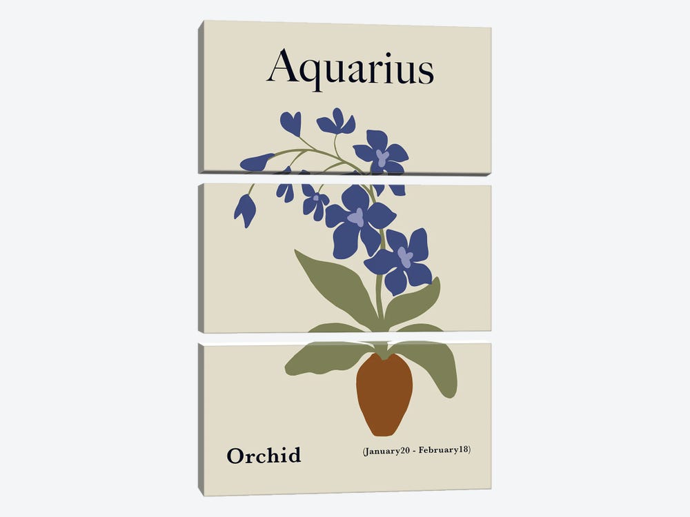Aquarius Orchid by Miho Art Studio 3-piece Canvas Print