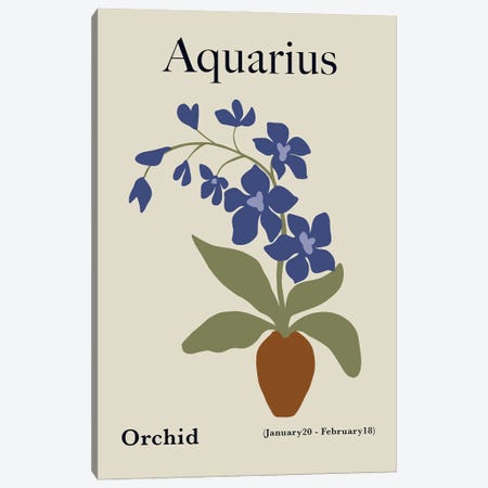 Aquarius Orchid Canvas Print #MHX34} by Miho Art Studio Canvas Art Print