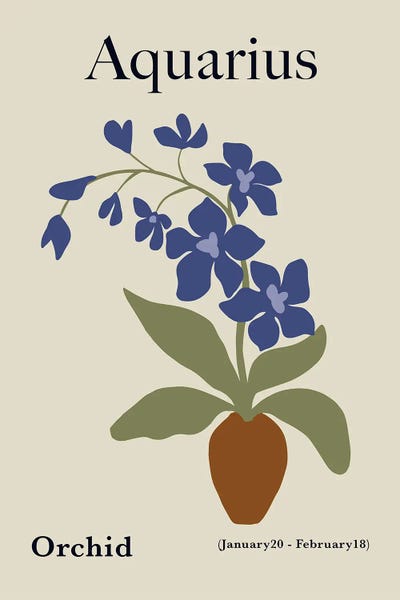 Aquarius: Aquarius Orchid by Miho Art Studio