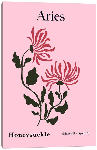 Aries Honeysuckle Canvas Art Print - Minimalist Flowers