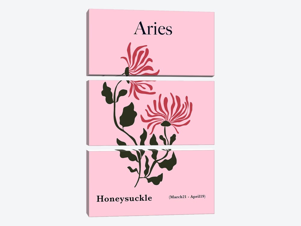 Aries Honeysuckle by Miho Art Studio 3-piece Canvas Wall Art