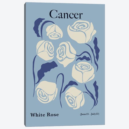 Cancer White Rose Canvas Print #MHX36} by Miho Art Studio Canvas Art Print