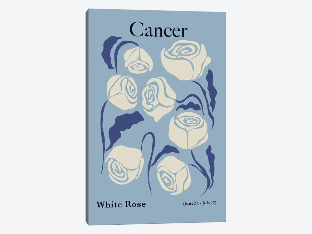 Cancer White Rose by Miho Art Studio 1-piece Canvas Art Print