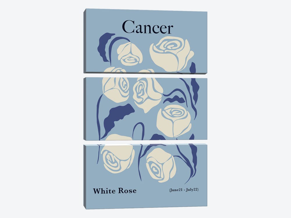 Cancer White Rose by Miho Art Studio 3-piece Canvas Print