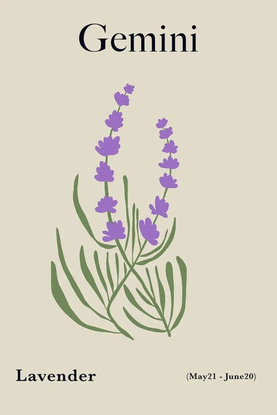 Herbs: Gemini Lavender by Miho Art Studio