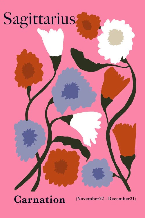 Sagittarius Carnation