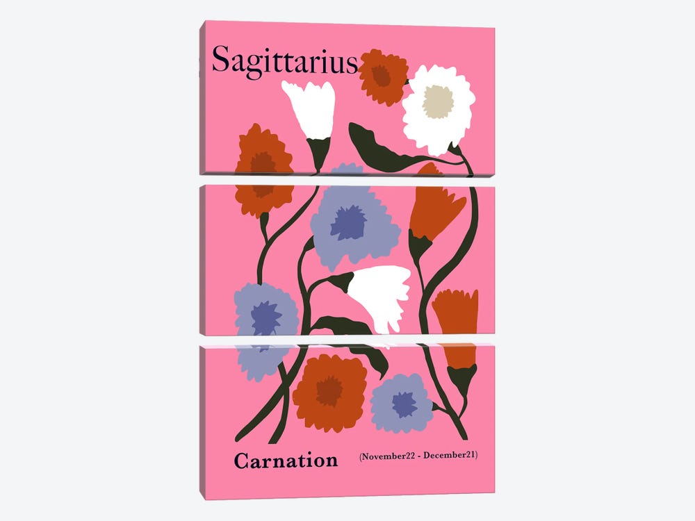 Sagittarius Carnation by Miho Art Studio 3-piece Canvas Artwork