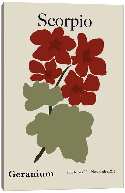 Scorpio Red Geranium Canvas Art Print - Minimalist Flowers