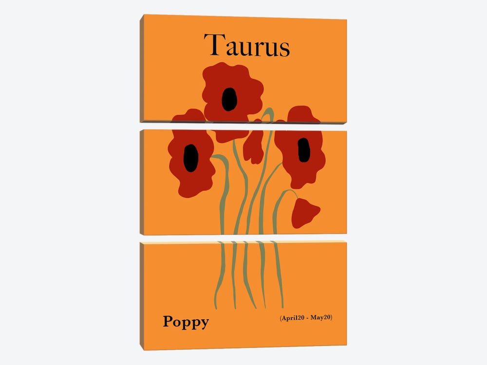 Taurus Poppy by Miho Art Studio 3-piece Canvas Art