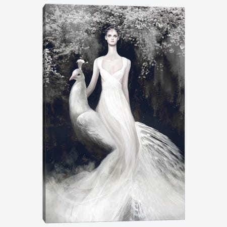 Valentino White Canvas Print #MHY31} by Mahyar Kalantari Canvas Print