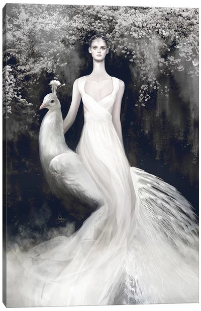 Valentino White Canvas Art Print - Mahyar Kalantari